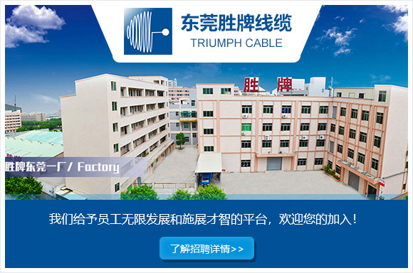 东莞市胜牌电线电缆有限公司