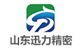 山东迅力精密铸造股份有限公司LOGO