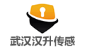 武汉汉升传感系统有限责任公司LOGO